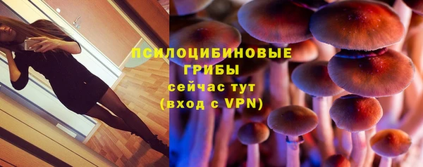 мет Абаза