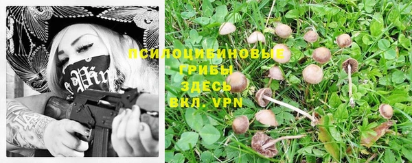 хмурый Алексеевка