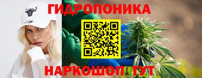 2c-b Канаш