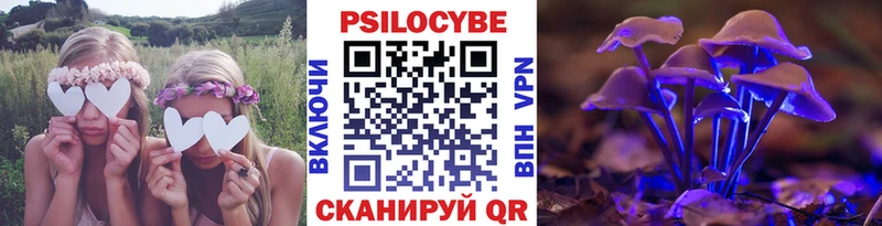Галлюциногенные грибы Psilocybine cubensis  Лангепас 